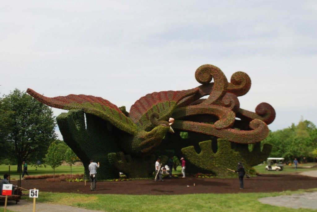 MosaAshbyDPhenix13-049-1024x687